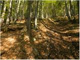 Stara Fužina - Planina Vodični vrh